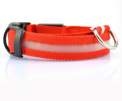 Safety Dog LED Collar