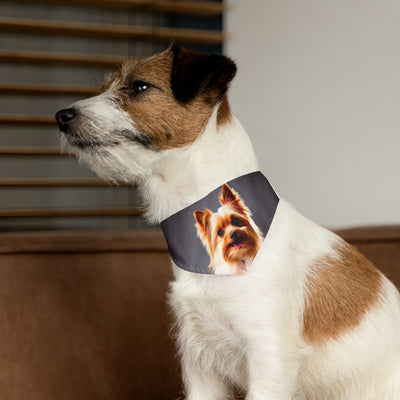 Pet Bandana Collar