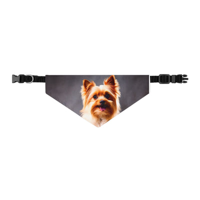 Pet Bandana Collar