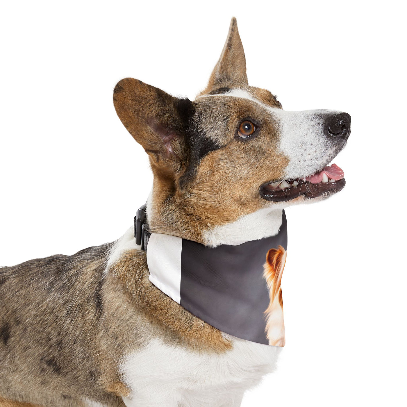 Pet Bandana Collar