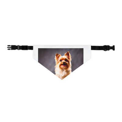 Pet Bandana Collar