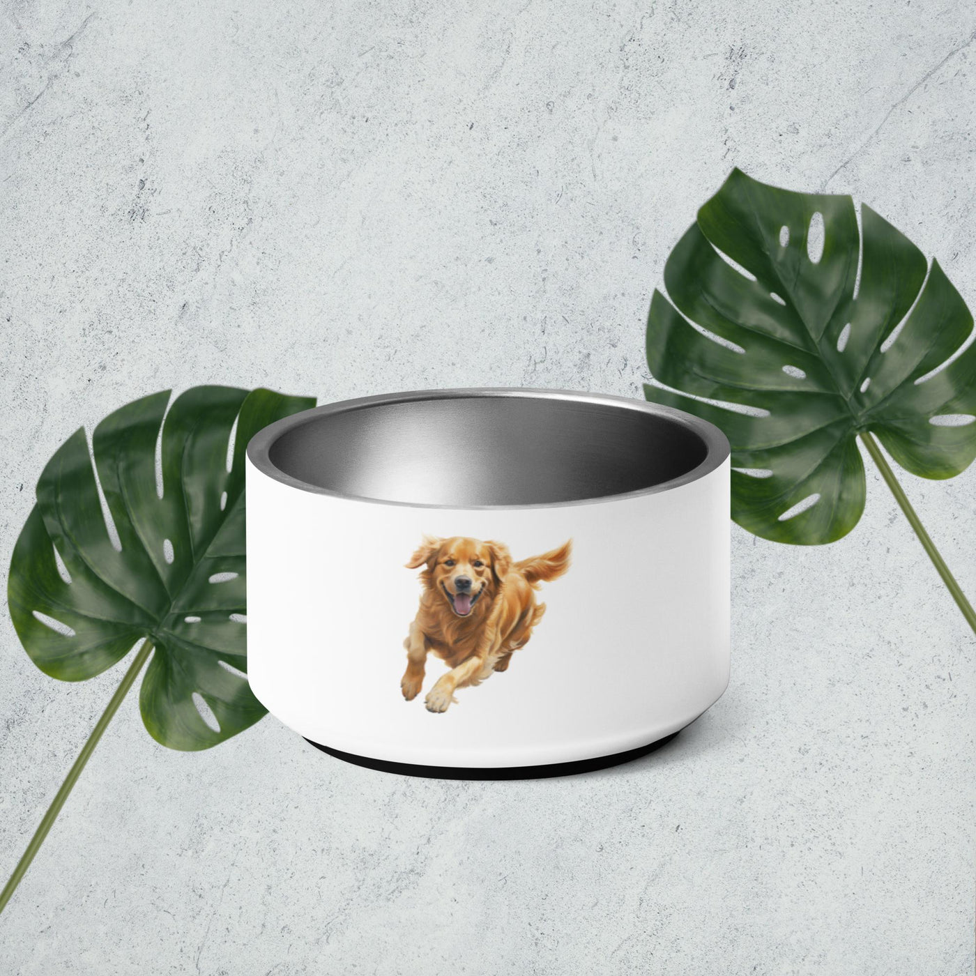 Pet bowl